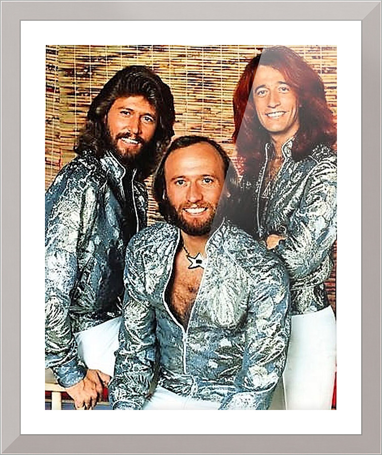 1242 Picture Frame print