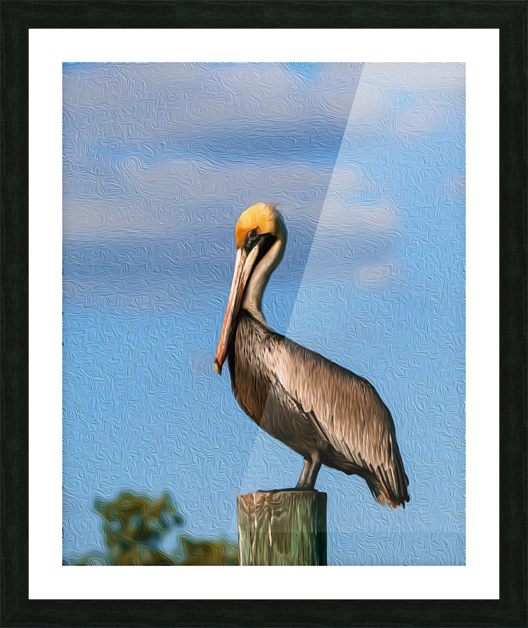 Pelican Perching Picture Frame print