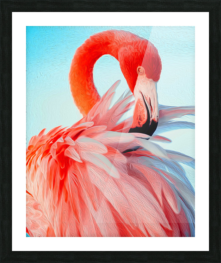 Flamingo Beauty Picture Frame print