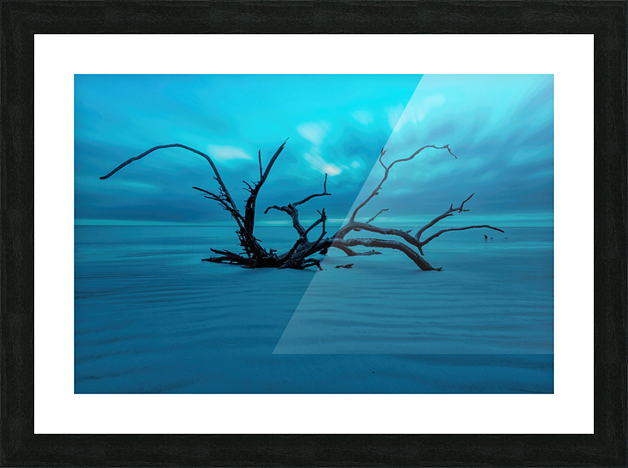 Jekyll Island Picture Frame print