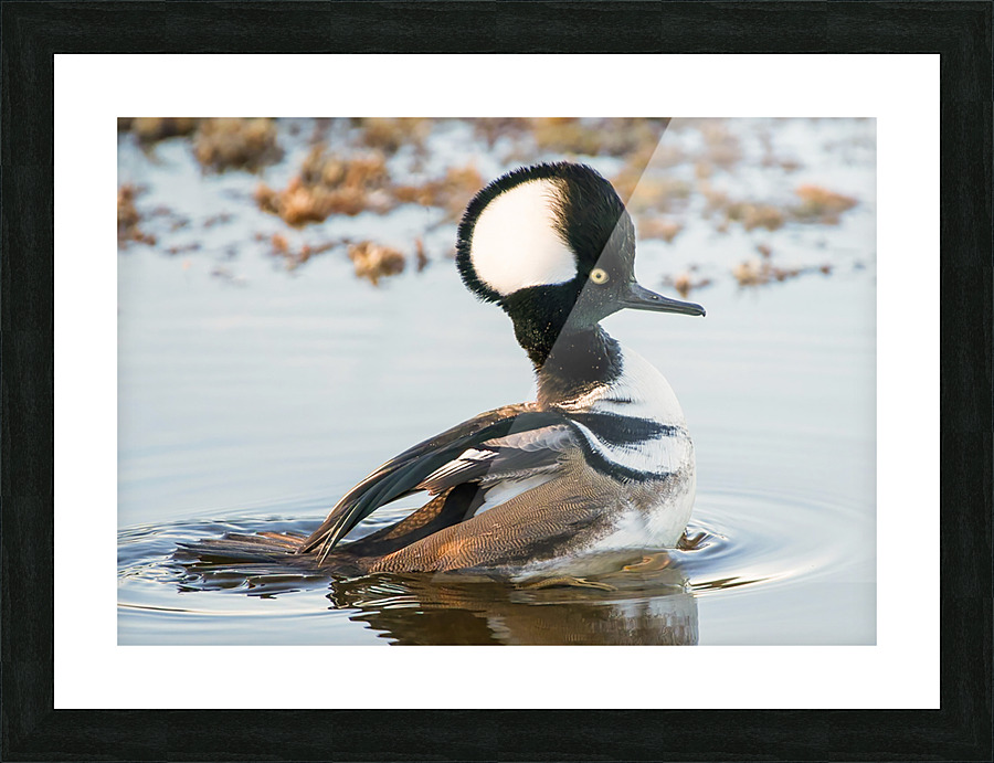 MERRIT ISLAND  Picture Frame print