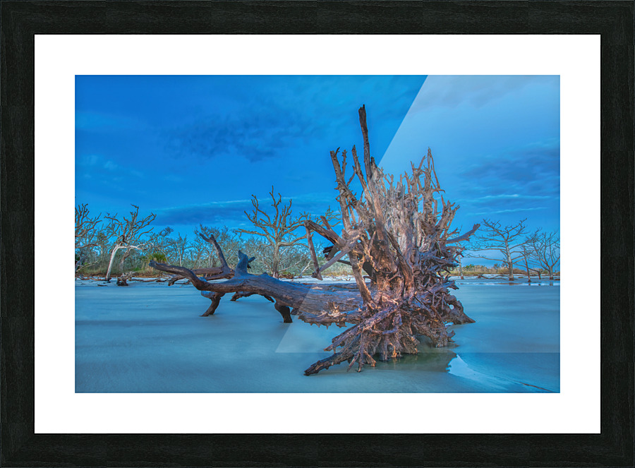 Driftwood Beach Picture Frame print