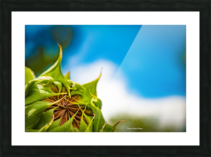 New Beginnings Picture Frame print