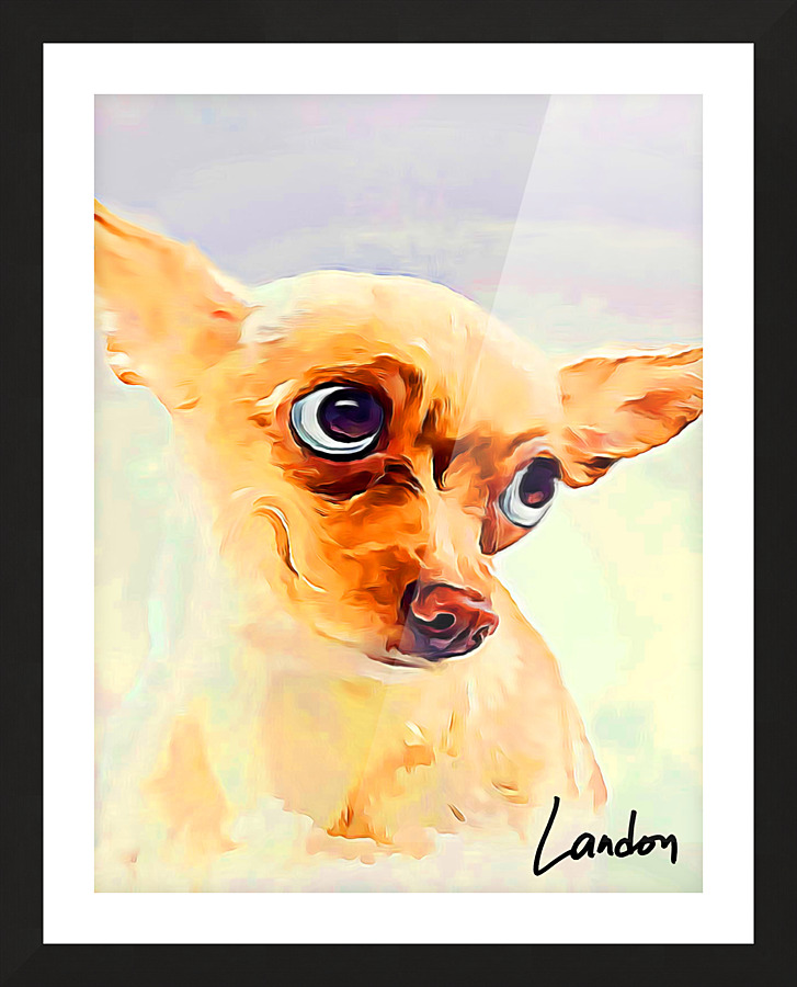 Its A Dogs World Picture Frame print