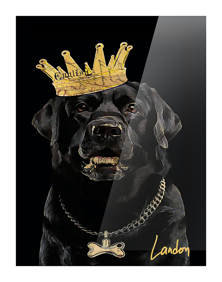 King of the Bark Picture Frame print