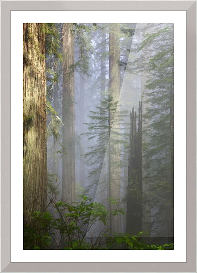 1401 Picture Frame print