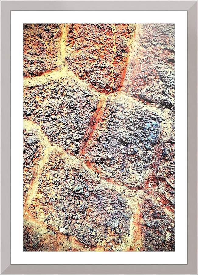 1552 Picture Frame print