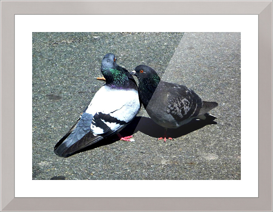 1603 Picture Frame print