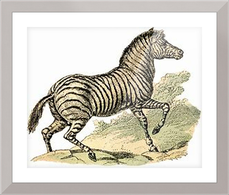 1682 Picture Frame print