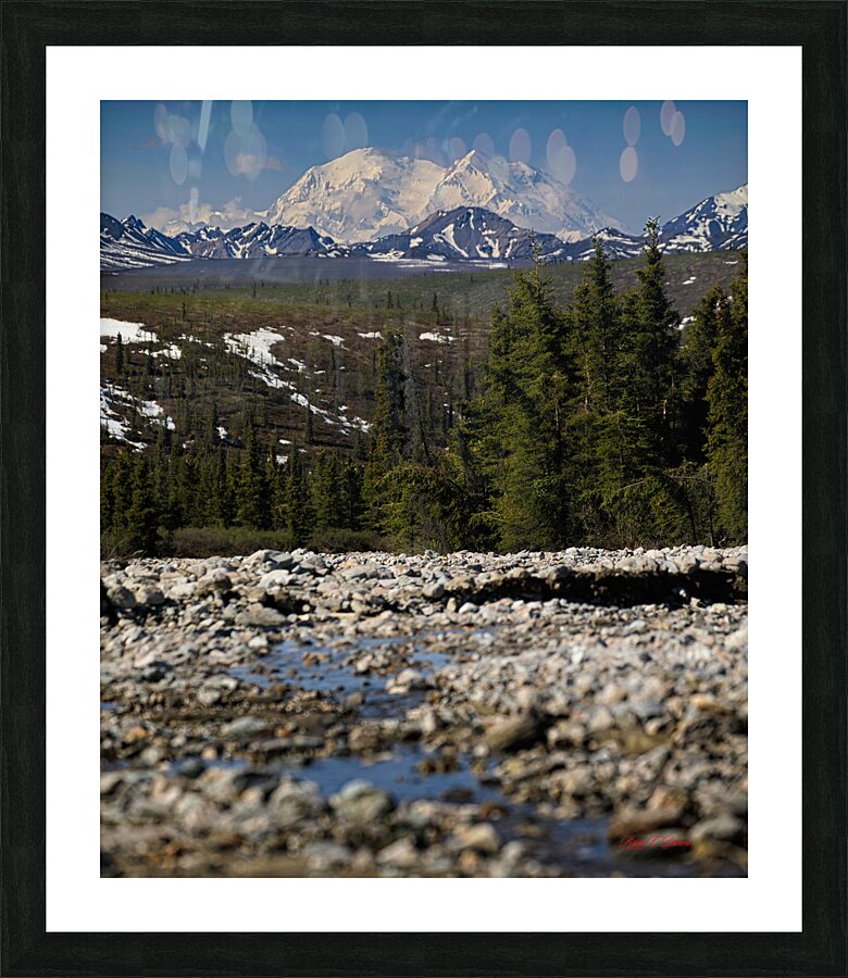 Denali from the North Picture Frame print
