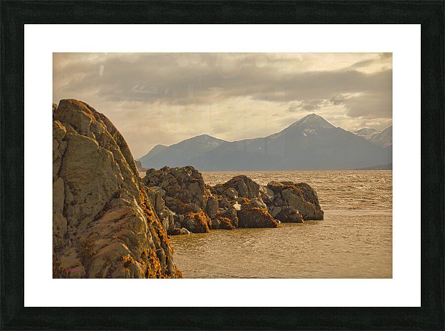 Turnagin Arm Picture Frame print