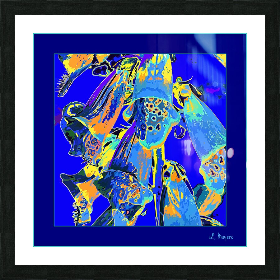 FOXGLOVES 001  Picture Frame print