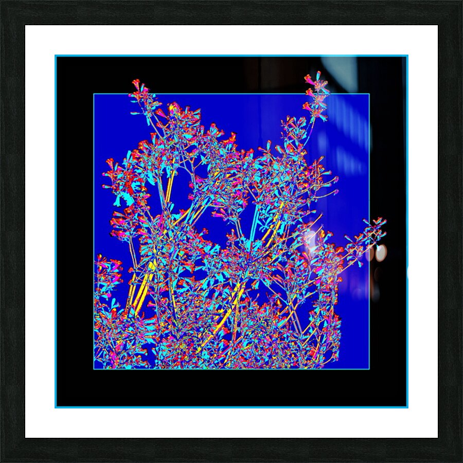 TREES 001 Picture Frame print