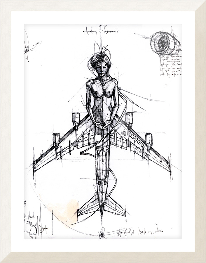 Aeremaid One Picture Frame print