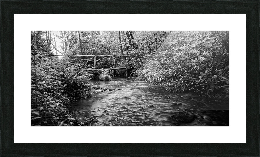 2022 June 20 RusticBridge02 Picture Frame print
