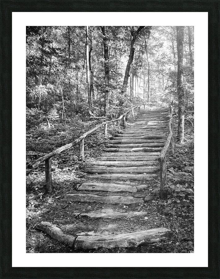 2022 June 20 TrailStairs01 Picture Frame print