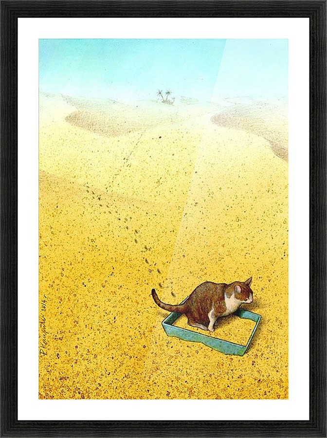 Cat Sandbox Picture Frame print