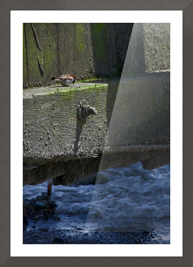 Snack Picture Frame print