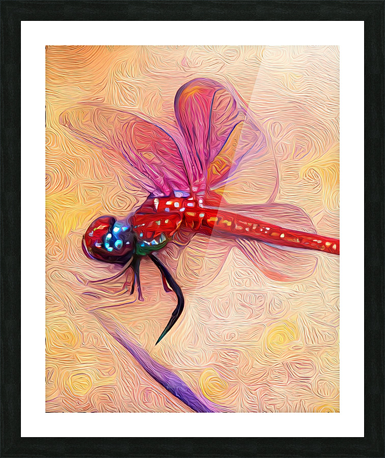The Mystic Dragonfly Picture Frame print