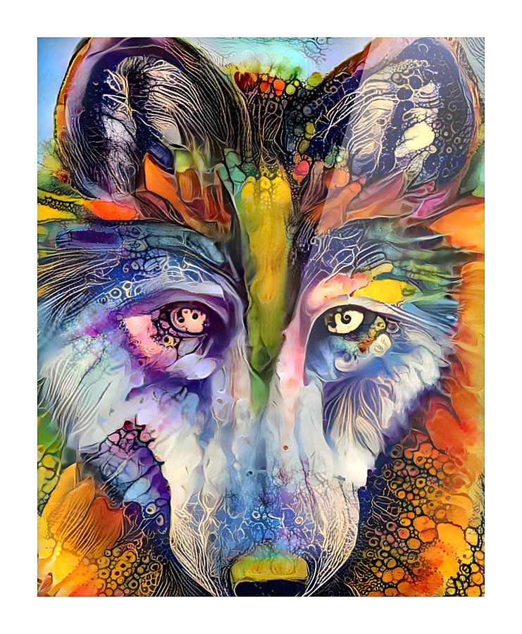 D03C4036 C6D5 4EC5 B81A E8FB7F523021 Picture Frame print