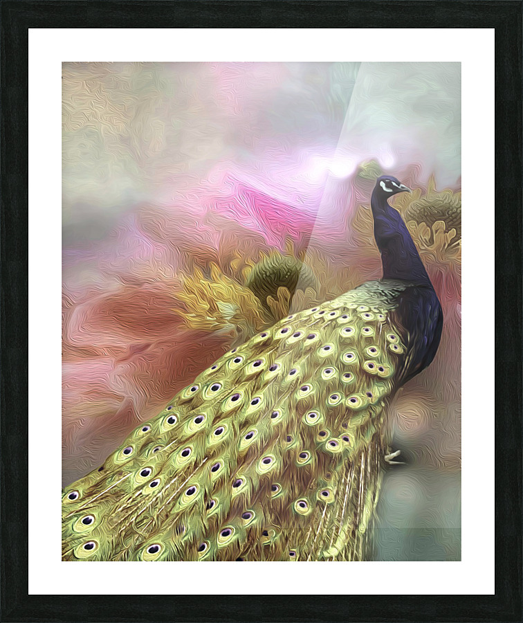 62D6BD45 BAC3 4609 9903 627048760705 Picture Frame print