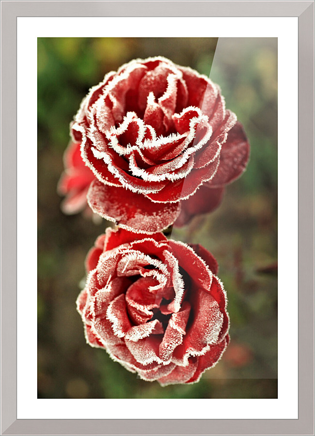 2601 Picture Frame print