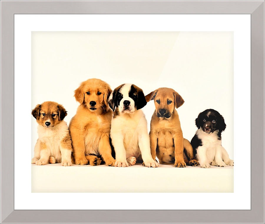 2686 Picture Frame print