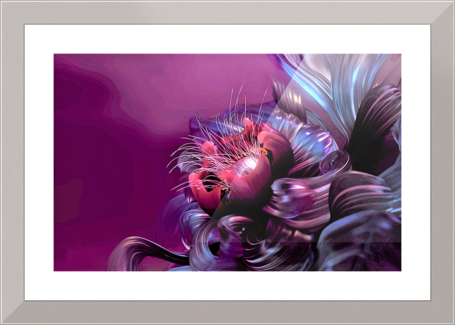 2772 Picture Frame print