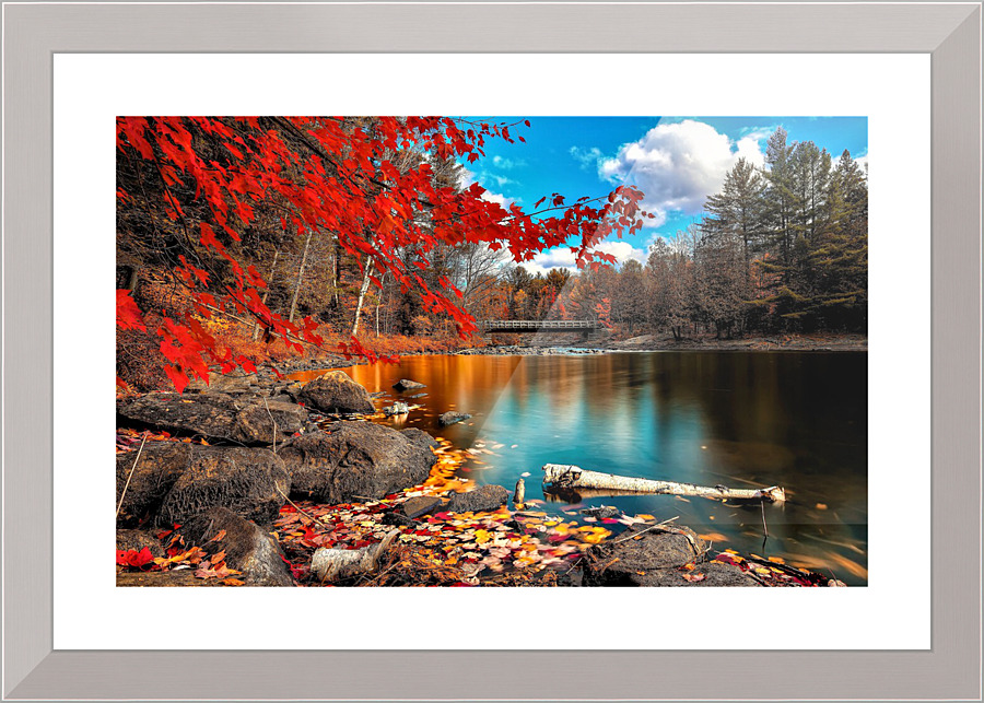 2846 Picture Frame print