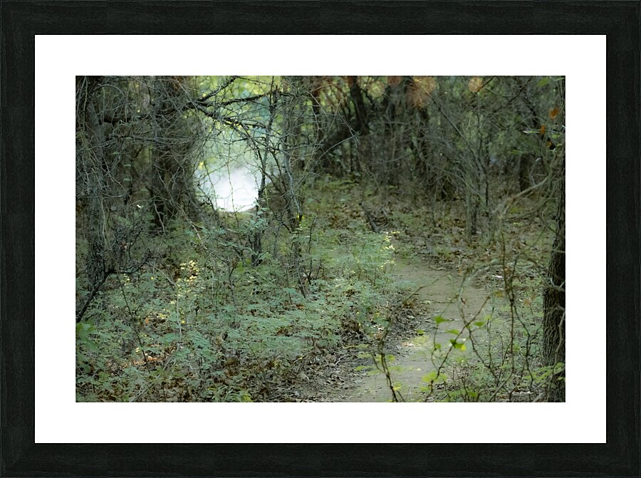 Pathway Series- 1 Charons Garden Picture Frame print