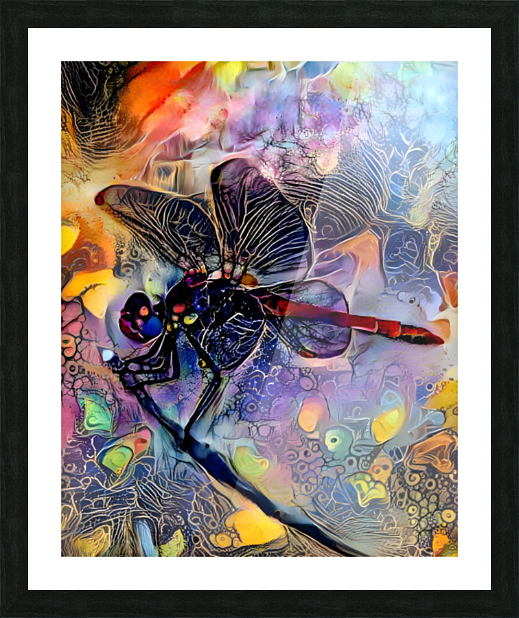 2E881612 1587 473D 8451 DEFA71F49DFD Picture Frame print