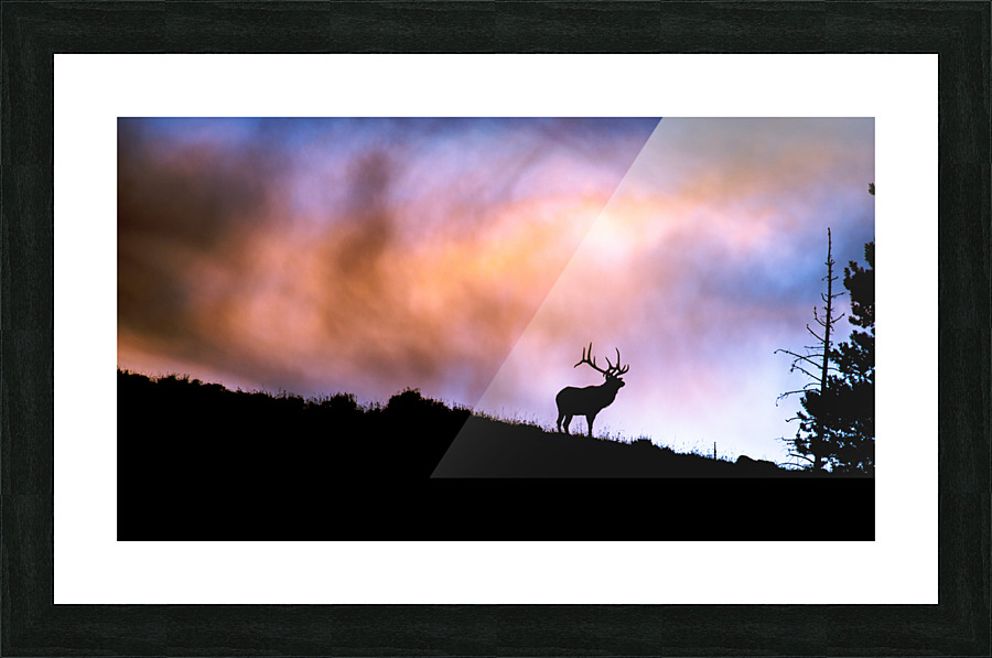 IMG 3303 Picture Frame print