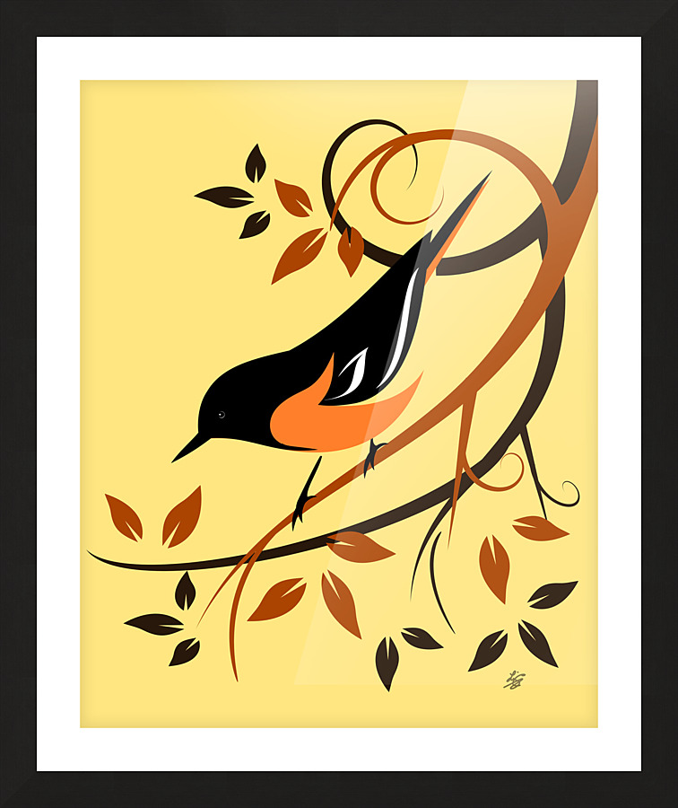 Baltimore Oriole Bird Picture Frame print