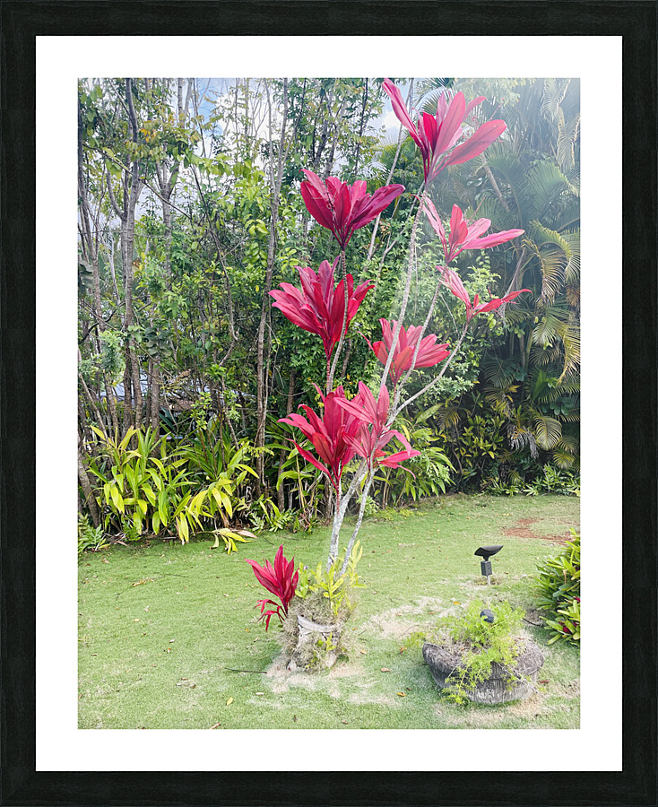 8E40C966 C272 4FD6 BC86 36B25337B445 Picture Frame print