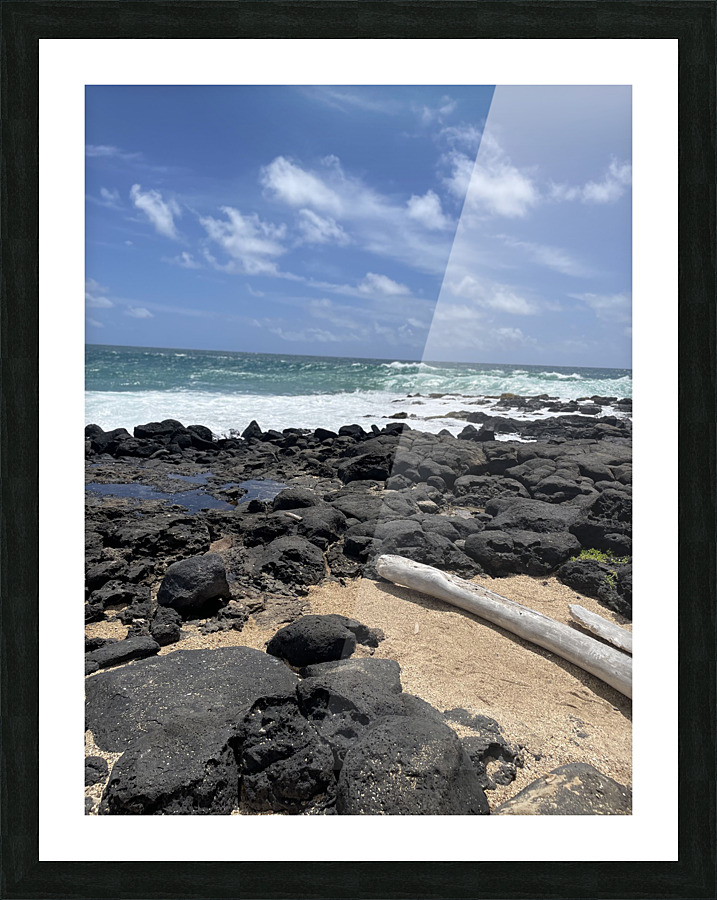 E71F184D 4768 4467 A8C7 90E9757AC878 Picture Frame print