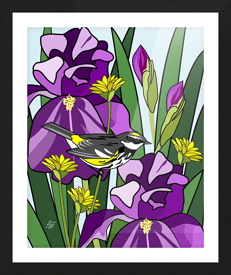 Warbler Among Purple Iris Flower Picture Frame print