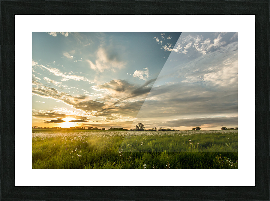 Nature Photography - Sunset Field - Busch Wildlife MO Picture Frame print