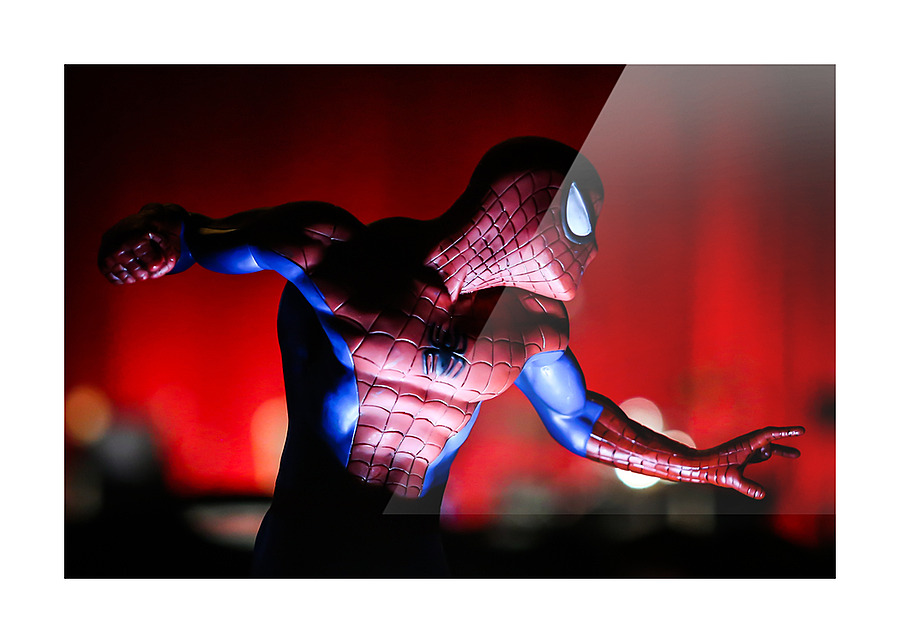 Nerd Cave Photography - Profile A La Spidey  Picture Frame print