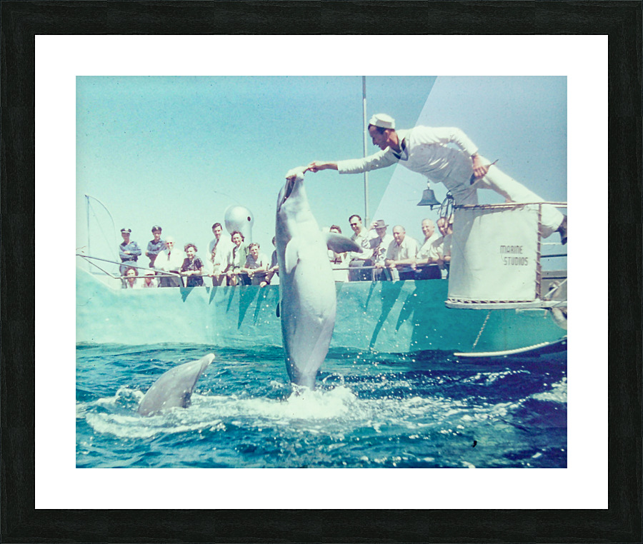 Found and Restored - Here Mammal Mammal  - Kodachrome Picture Frame print