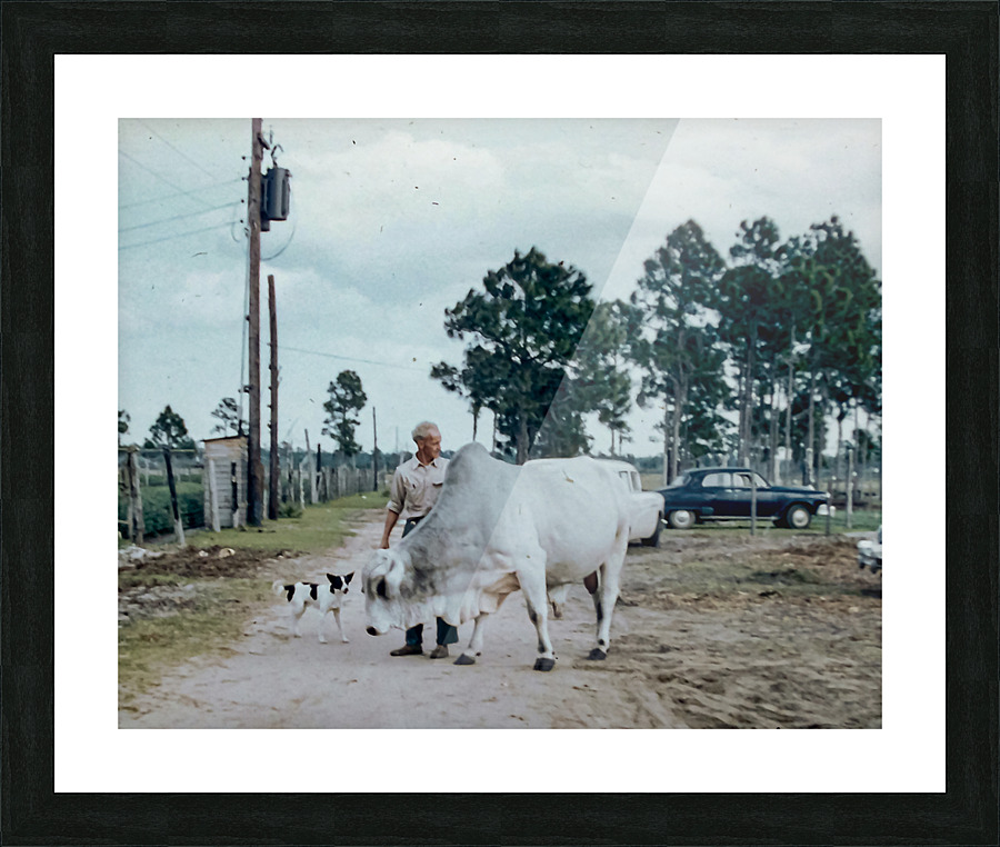 Found and Restored - Farm Family on the Road - Kodachrome Picture Frame print