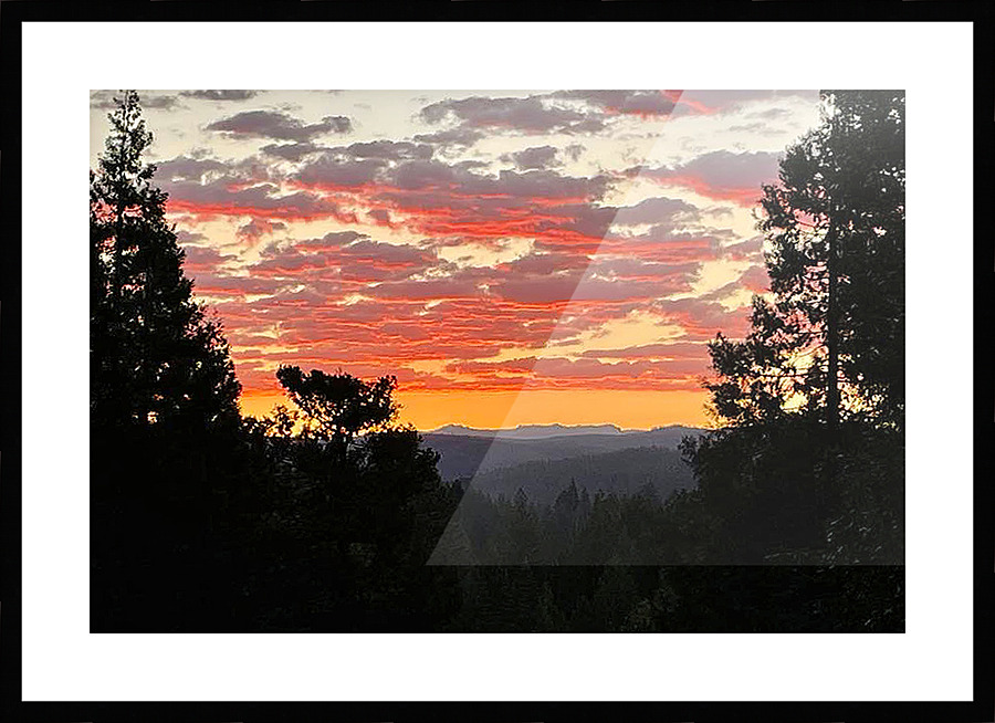  Fine Art print