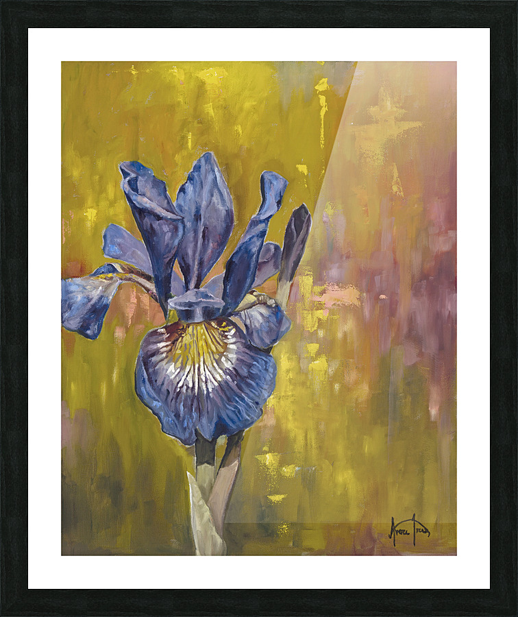 Iris Picture Frame print
