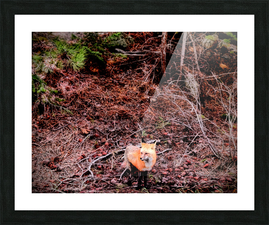 Pink Fox Picture Frame print