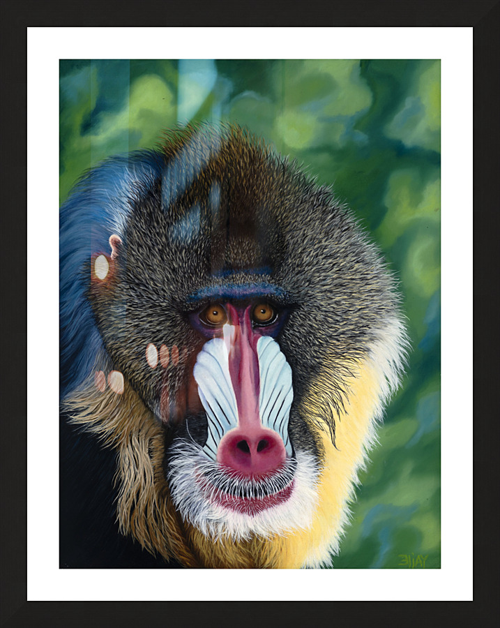 Blue Baboon Picture Frame print