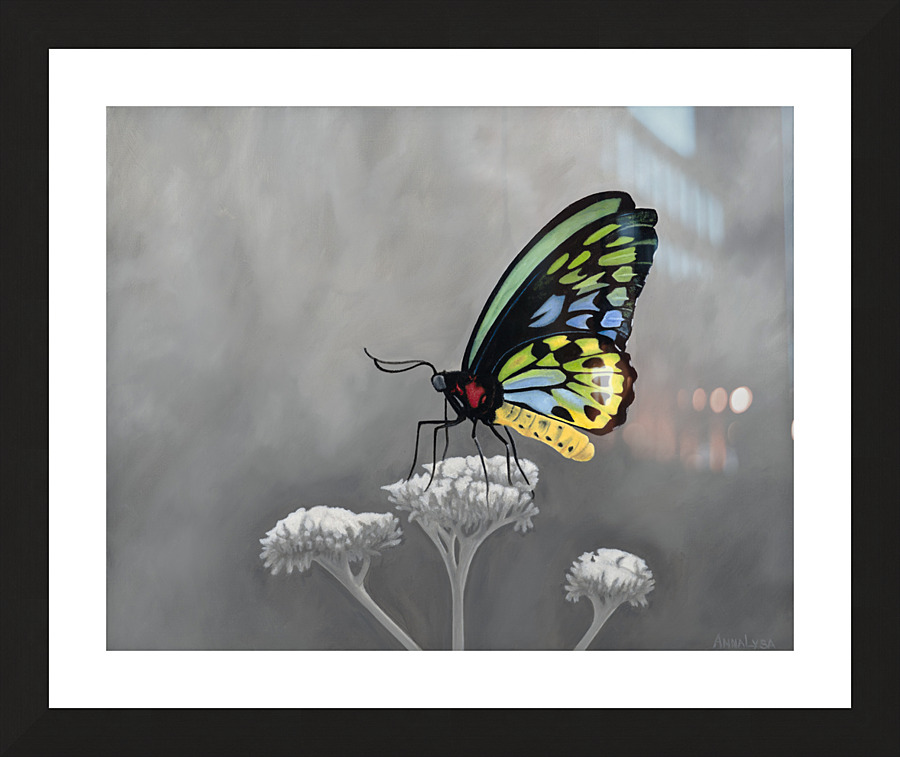 Refresh    Picture Frame print