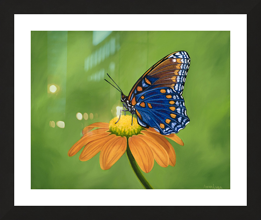 Leap of Faith   Picture Frame print