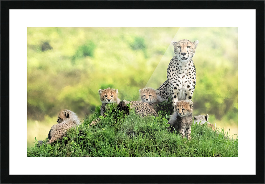  Fine Art print