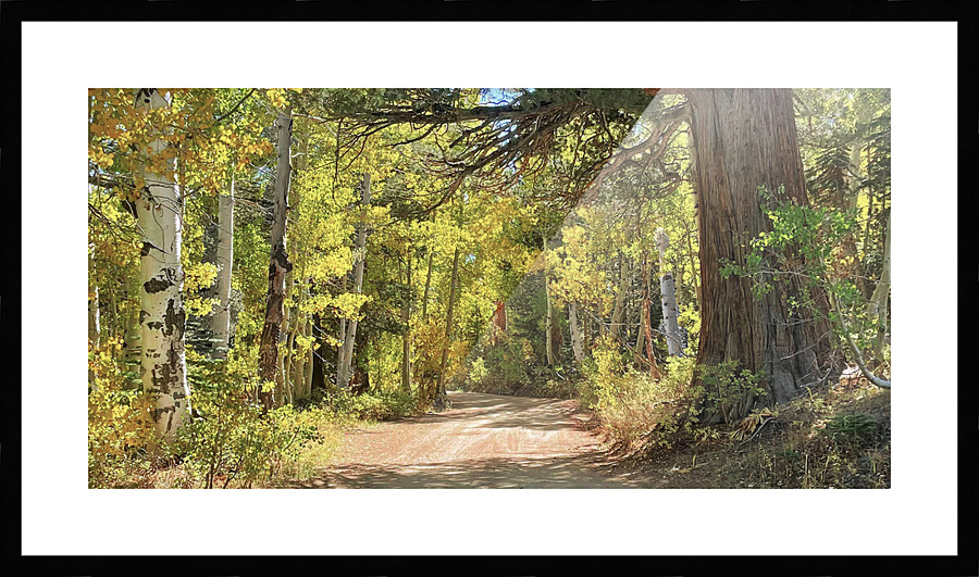  Fine Art print