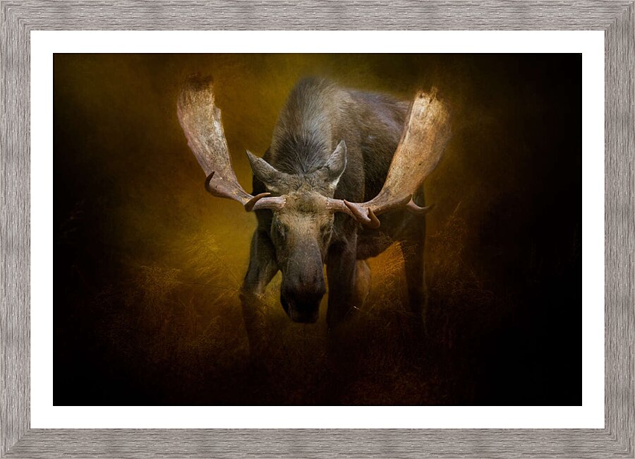 Head Down Picture Frame print