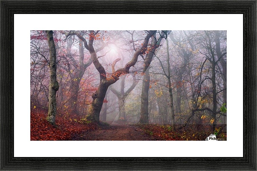 Walking the old path.  Framed Print Print